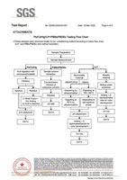 Restriction of Hazardous Substances ROHS Test Report for Surgical Face Masks MN-175 MN-130 MN-80 46